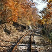 Gallery 1 - Fall Foliage Train Rides