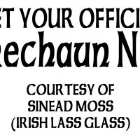 Get Your Official Leprechaun Name during Give Local York