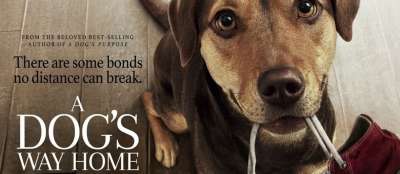 Free Summer Film Series - A Dog's Way Home