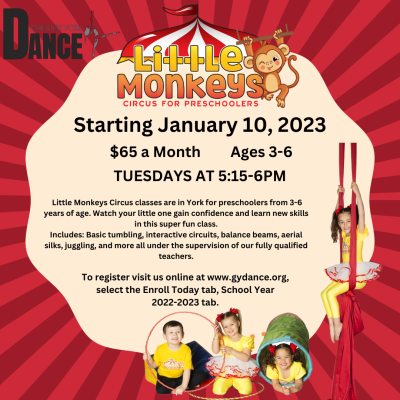 Little Monkeys - Circus for Preschoolers