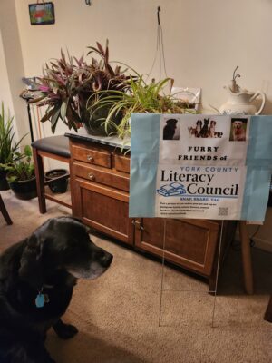 Gallery 2 - Furry Friends of York County Literacy Council
