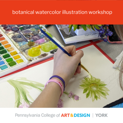 Botanical Watercolor Illustration Workshop at PCA&D York