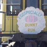 Eggspecially Fun Bunny Run