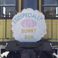 Eggspecially Fun Bunny Run