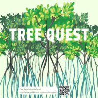 Tree Quest: A Conversation with Anthony Fredericks