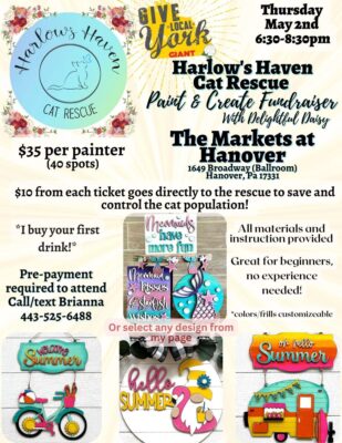 Paint Night Fundraiser Benefiting Harlow’s Haven Cat Rescue for GLY