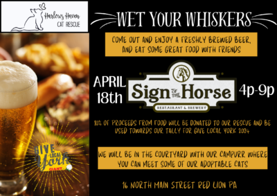 Wet Your Whiskers at Sign of the Horse Benefiting HHCR for Give Local York