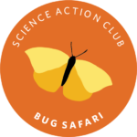 Bug Scouts | Guthrie Memorial Library | Ages 8 - 12