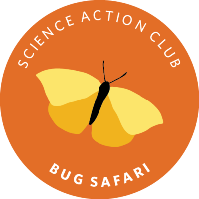 Bug Scouts | Guthrie Memorial Library | Ages 8 - 12
