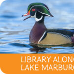 Library Along Lake Marburg | Guthrie Memorial Library | Ages 3 - 10
