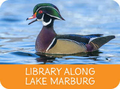Library Along Lake Marburg | Guthrie Memorial Library | Ages 3 - 10
